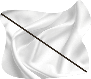 icon1